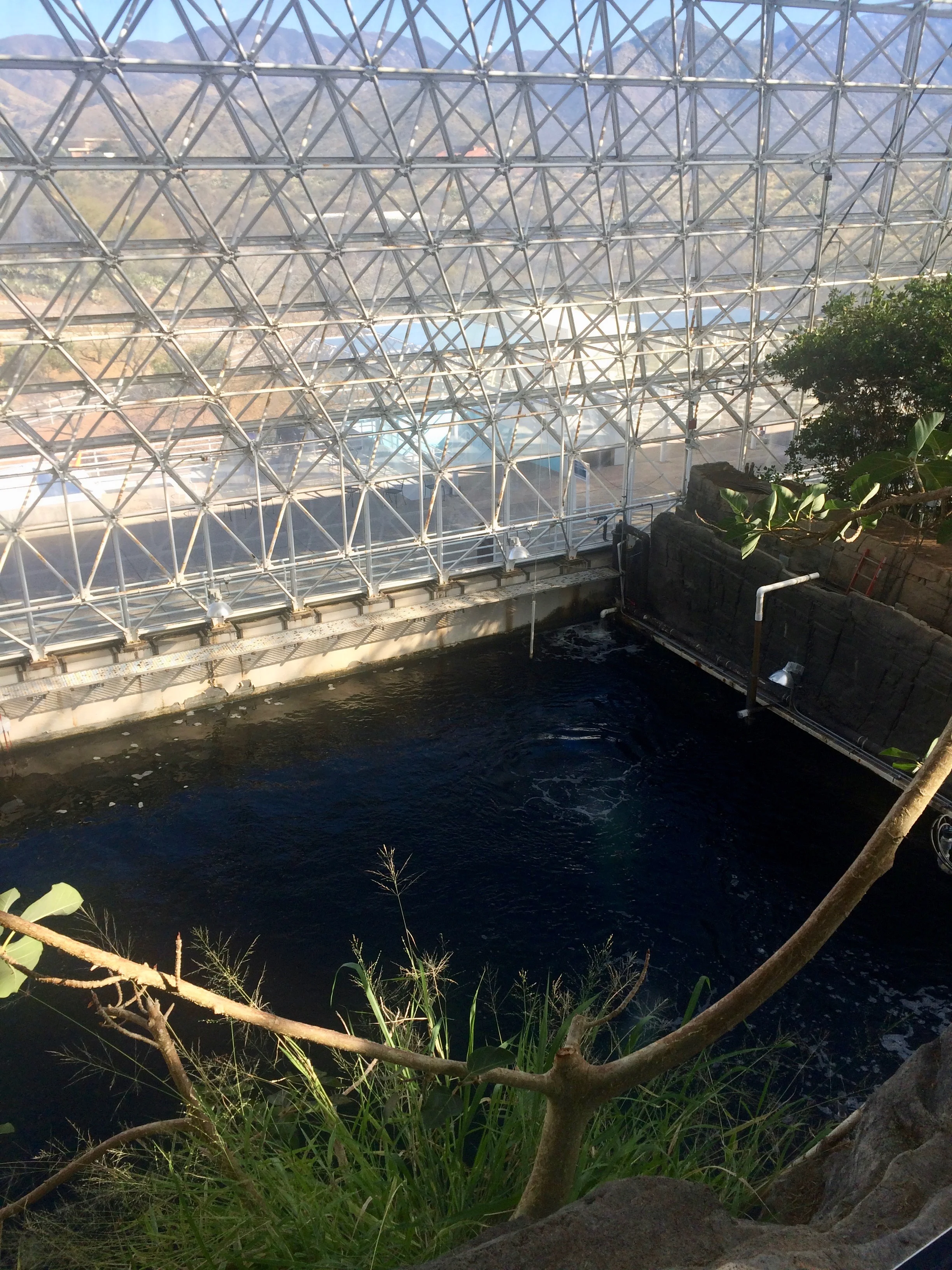 The artificial ocean pool beneath Biosphere 2’s glass wall, bordered by a dark rock barrier.