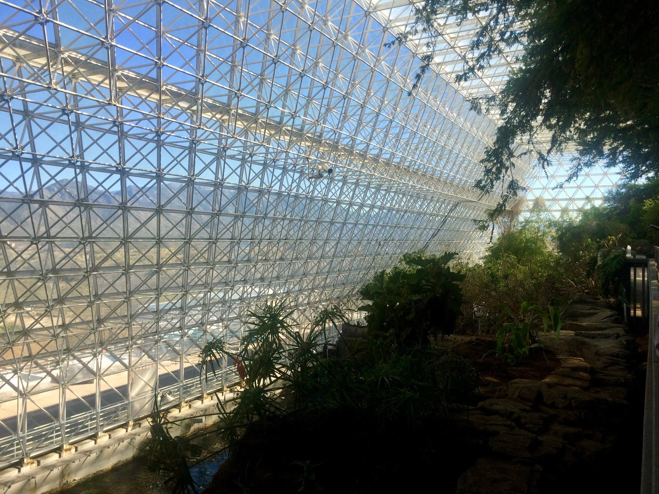 The tree-covered savanna stretching along Biosphere 2’s curved glass enclosure.
