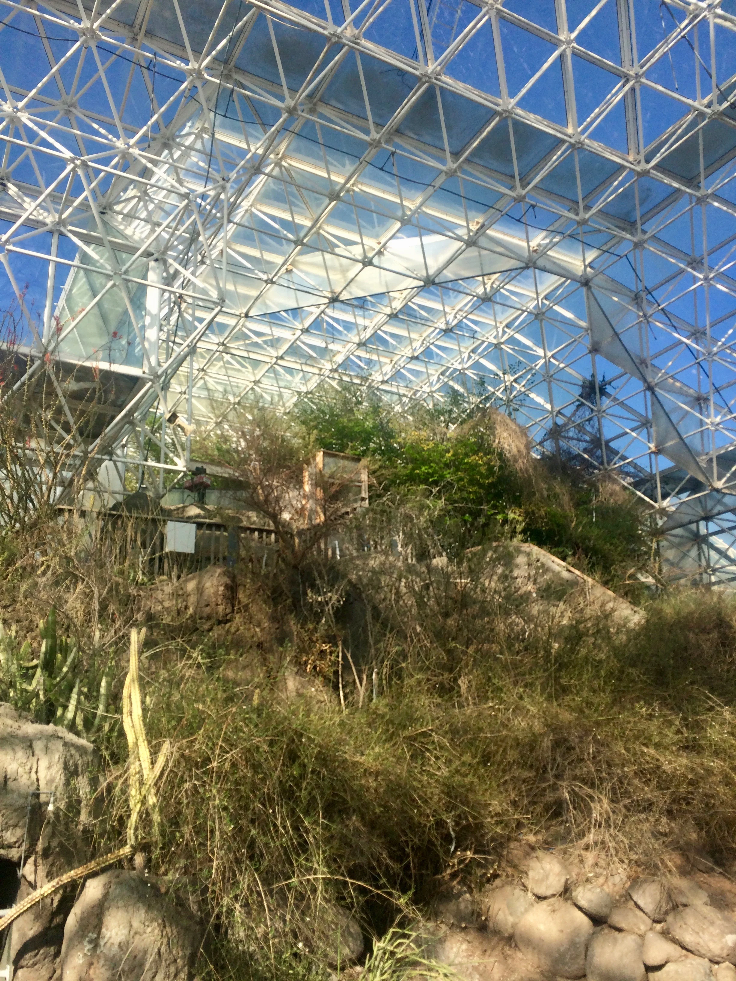 Dry scrub, cacti, and rock terraces inside Biosphere 2’s desert biome.