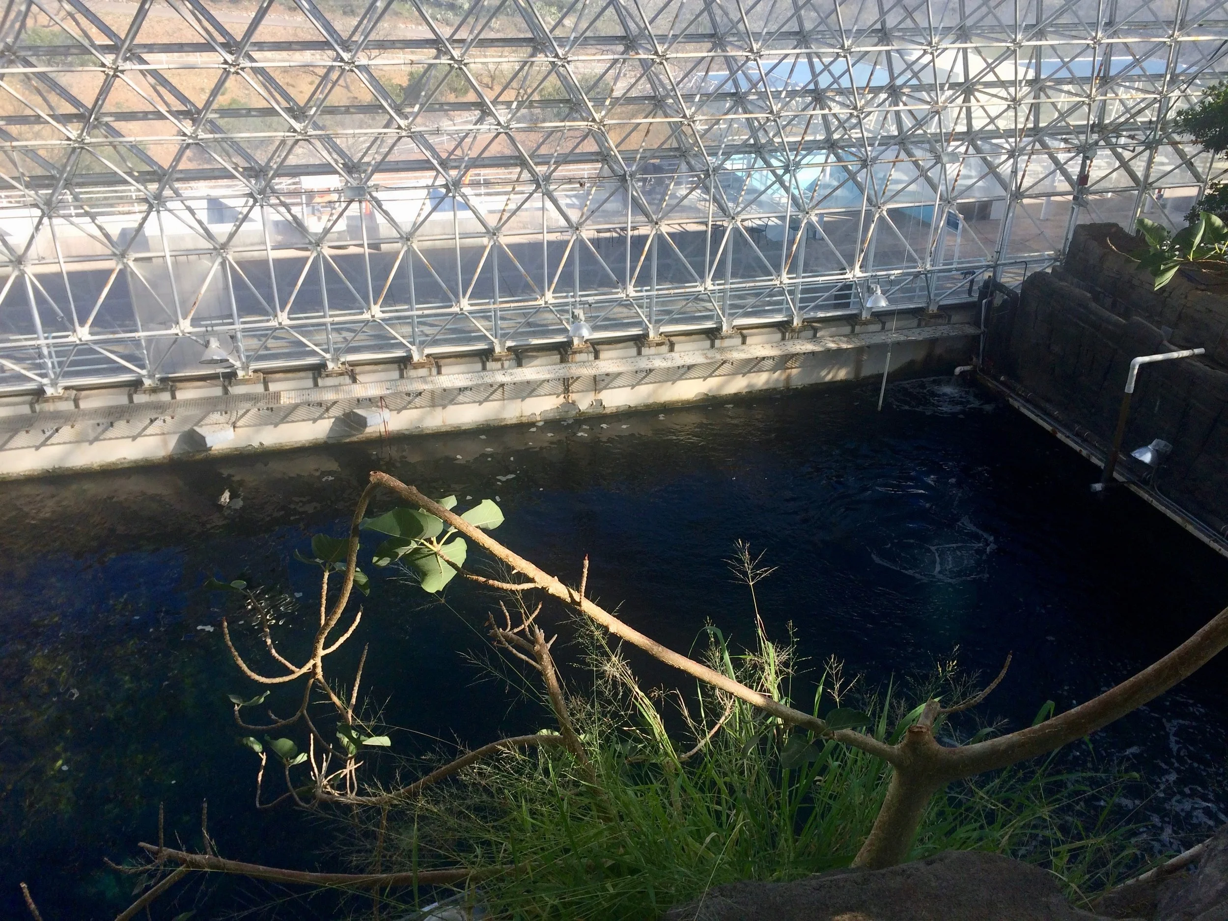 A wider view across Biosphere 2’s dark artificial ocean toward the rock wall.