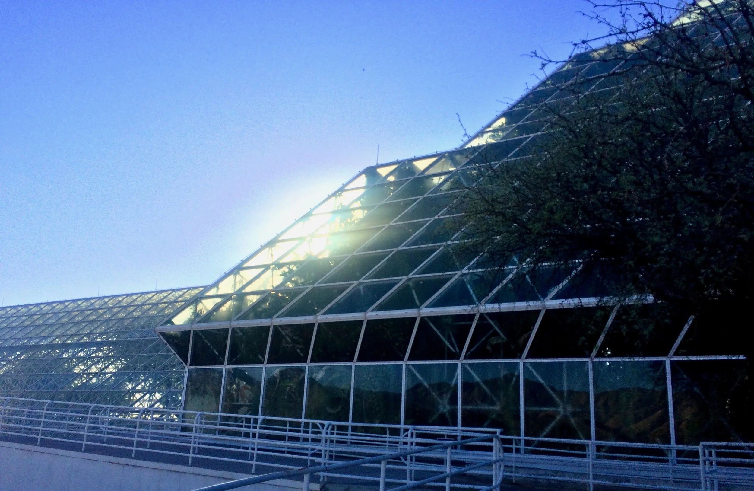 Sunlight flaring through the triangular glass façade of a Biosphere 2 greenhouse.