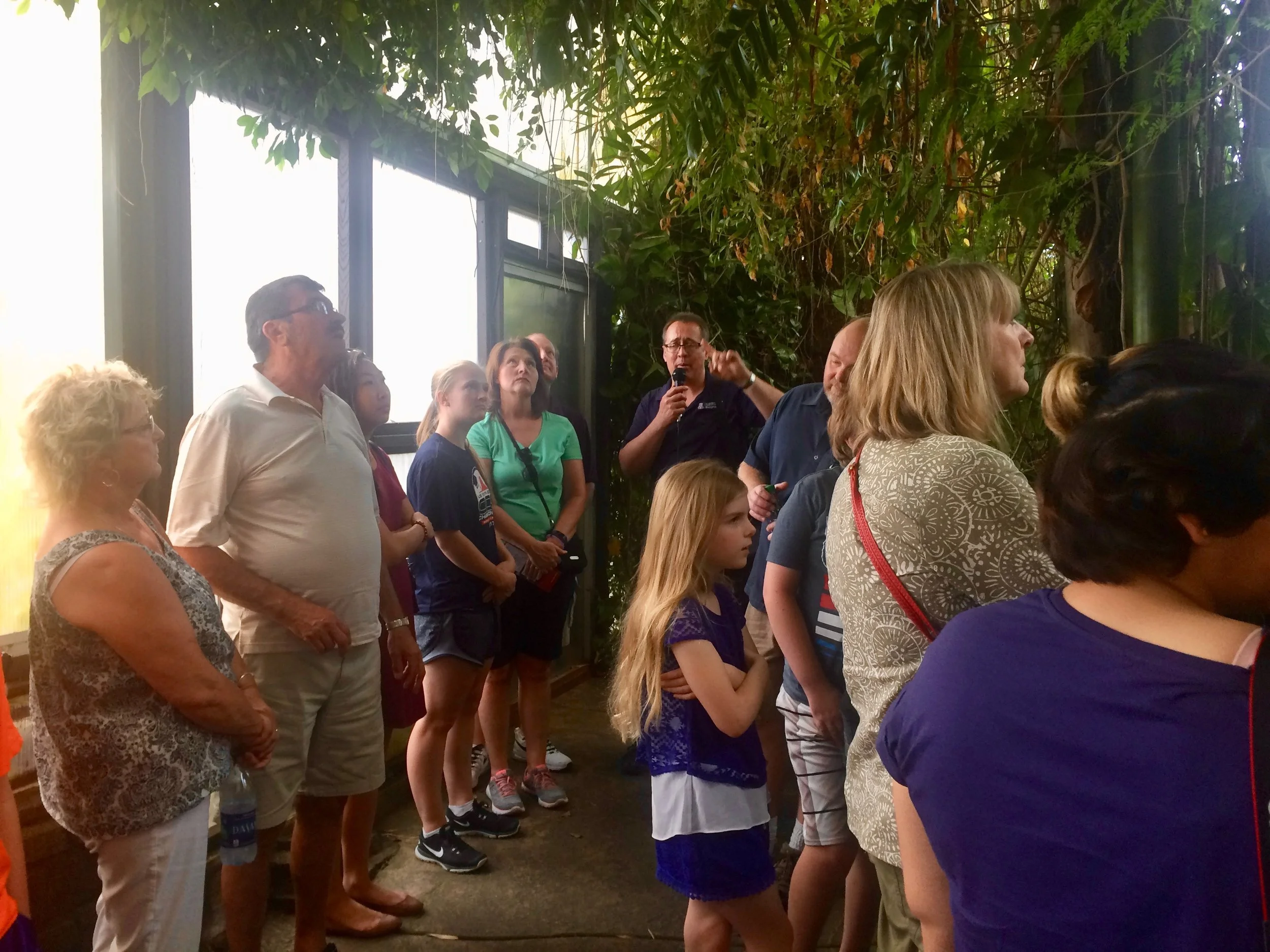 Visitors gathered around a guide among the rainforest foliage.