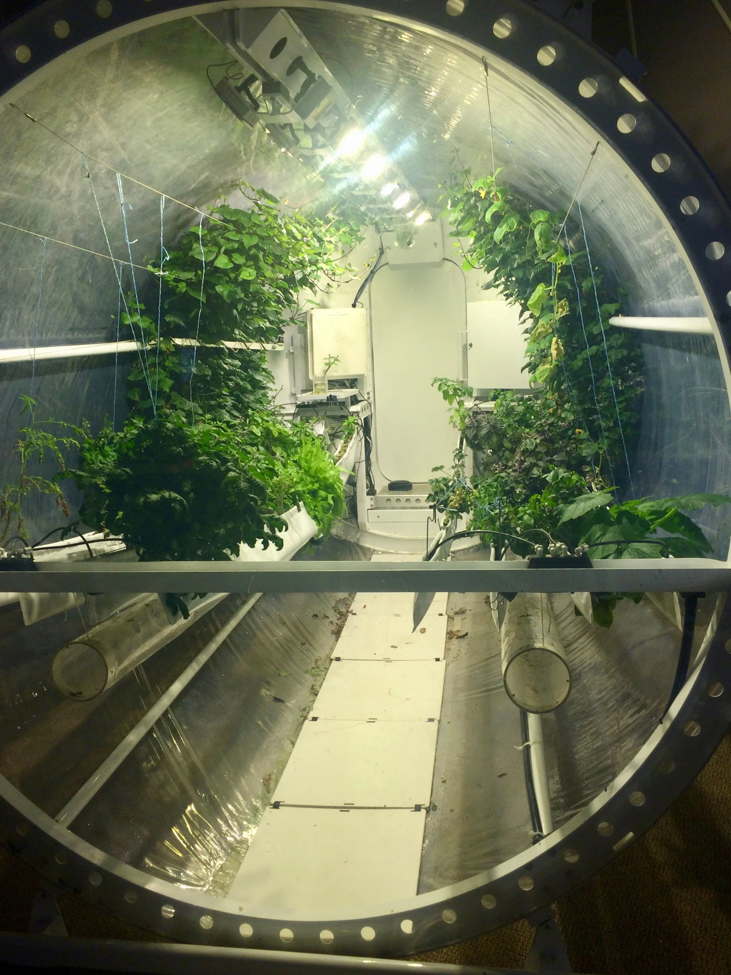 The lunar garden at Biosphere 2