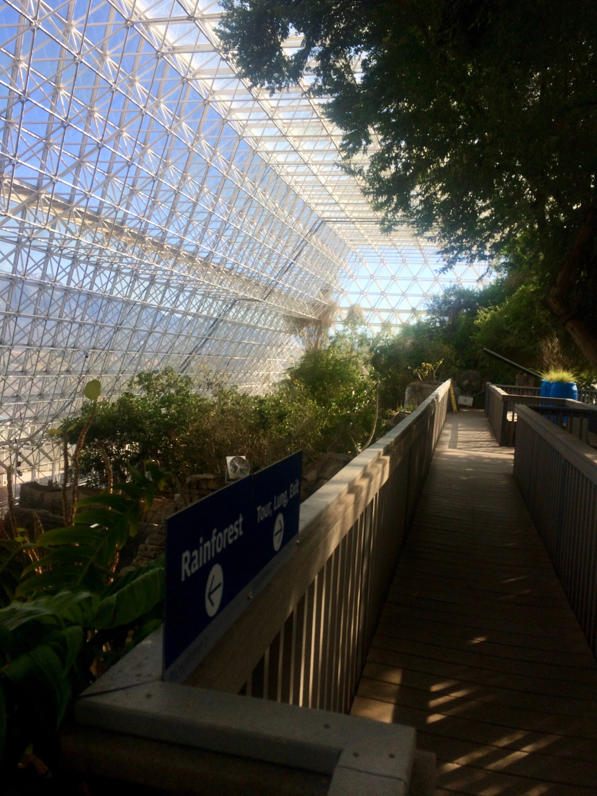 A visitor boardwalk through the savanna beneath Biosphere 2’s glass roof.