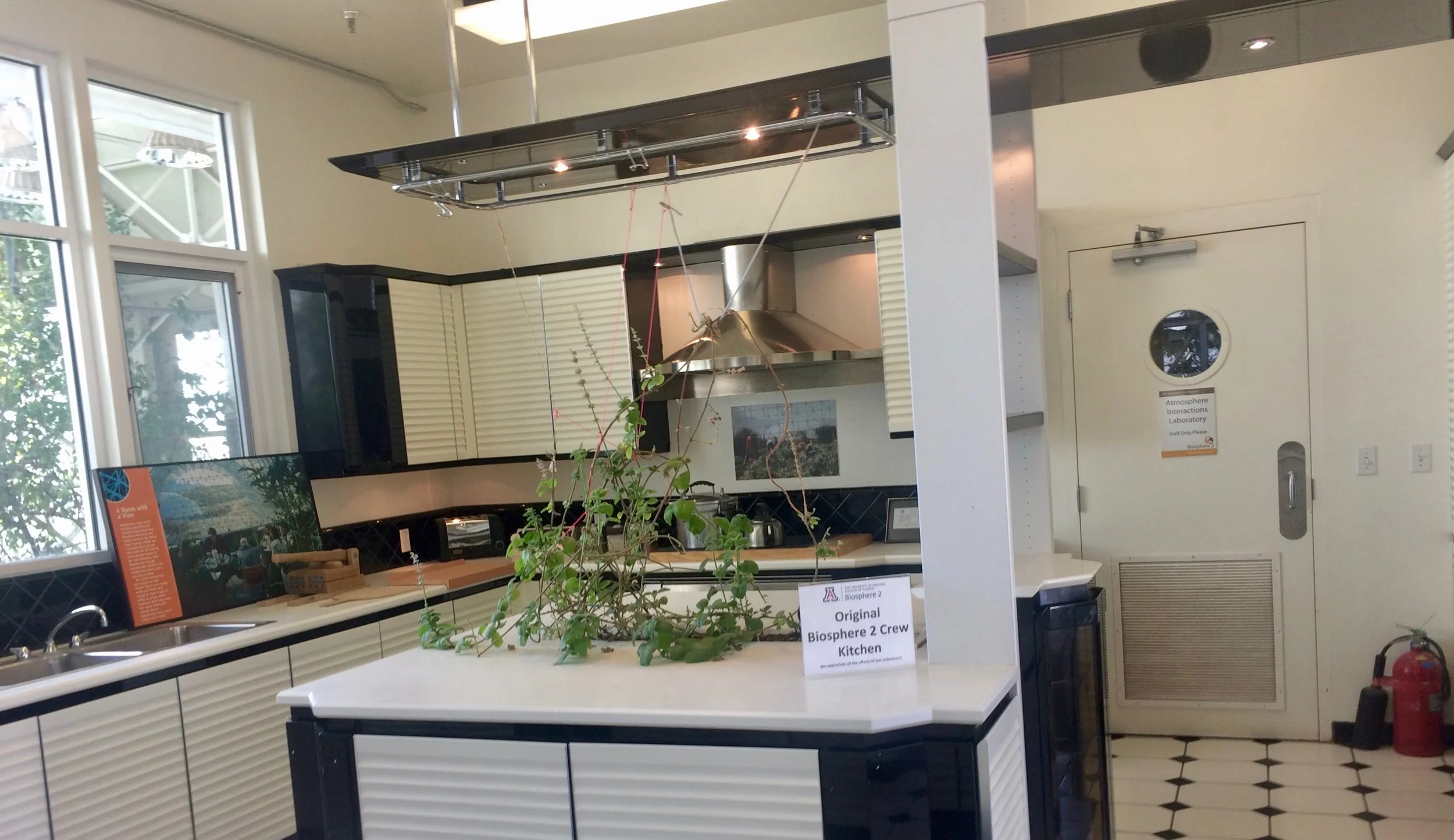 The original Biosphere 2 crew kitchen, with an island, cabinets, and hanging plant trellis.